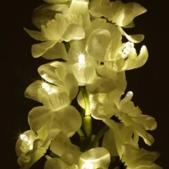 Lot De 2 Piques De Jardin Solaires LED Glaïeul - Blanc Chaud 7 Lot De 2 Piques De Jardin Solaires LED Glaïeul - Blanc Chaud -Default Template 7 96334 1612530979