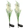 Lot De 2 Piques De Jardin Solaires LED Glaïeul - Blanc Chaud -Default Template 7 96334 1612796235