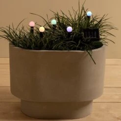 Lot De 5 Bornes De Jardin Solaires Mini - Multicolore